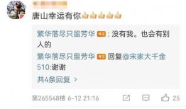 爆料唐山视频下载网站最新,最新爆料带你一探究竟