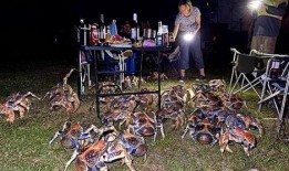 新澳最新爆料新闻,揭秘最新热点事件内幕！”