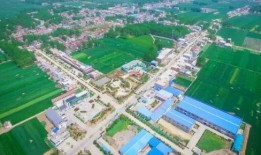 利辛最新消息大爆料,热点事件深度解析