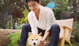 杨洋爆料视频最新消息,娱乐圈幕后真相大曝光