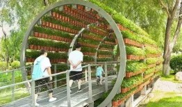 长春百花园爆料最新消息,揭秘神秘事件背后的真相