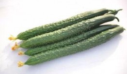 壶关最新吃瓜爆料