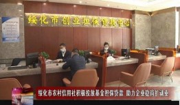 农村信用社最新爆料新闻,揭秘金融改革背后的故事