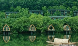 cf点卷活动爆料最新2024,揭秘最新活动爆料与福利攻略