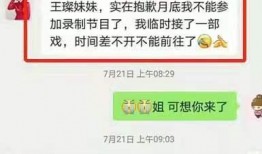 央视最新爆料聊天记录,揭秘神秘聊天记录背后的惊人真相