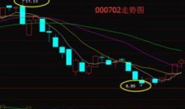 玄机科技新爆料最新消息,揭秘未来科技发展趋势